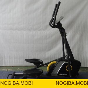 TIN TỨC SỰ KIỆN - Kim Cúc Sports - Nogiba