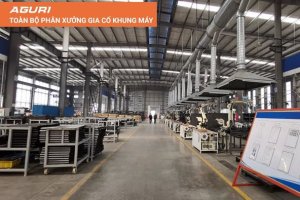 TIN TỨC SỰ KIỆN - Kim Cúc Sports - Nogiba