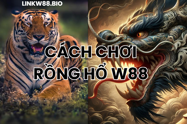 Cách Chơi Rồng Hổ W88 - Đánh Bại Nhà Cái Trực Tuyến - Nogiba Cách Chơi Rồng Hổ W88 - Đánh Bại Nhà Cái Trực Tuyến - Nogiba