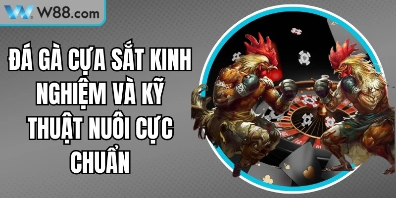 Đá Gà W88 - W88 [seolink] 🎖️ Link W88 App Mới Nhất 2026 – Xổ số W88 - Nogiba