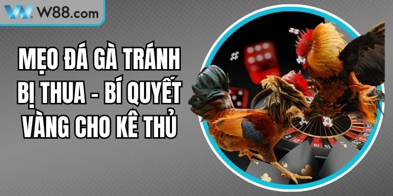 Đá Gà W88 - W88 [seolink] 🎖️ Link W88 App Mới Nhất 2026 – Xổ số W88 - Nogiba